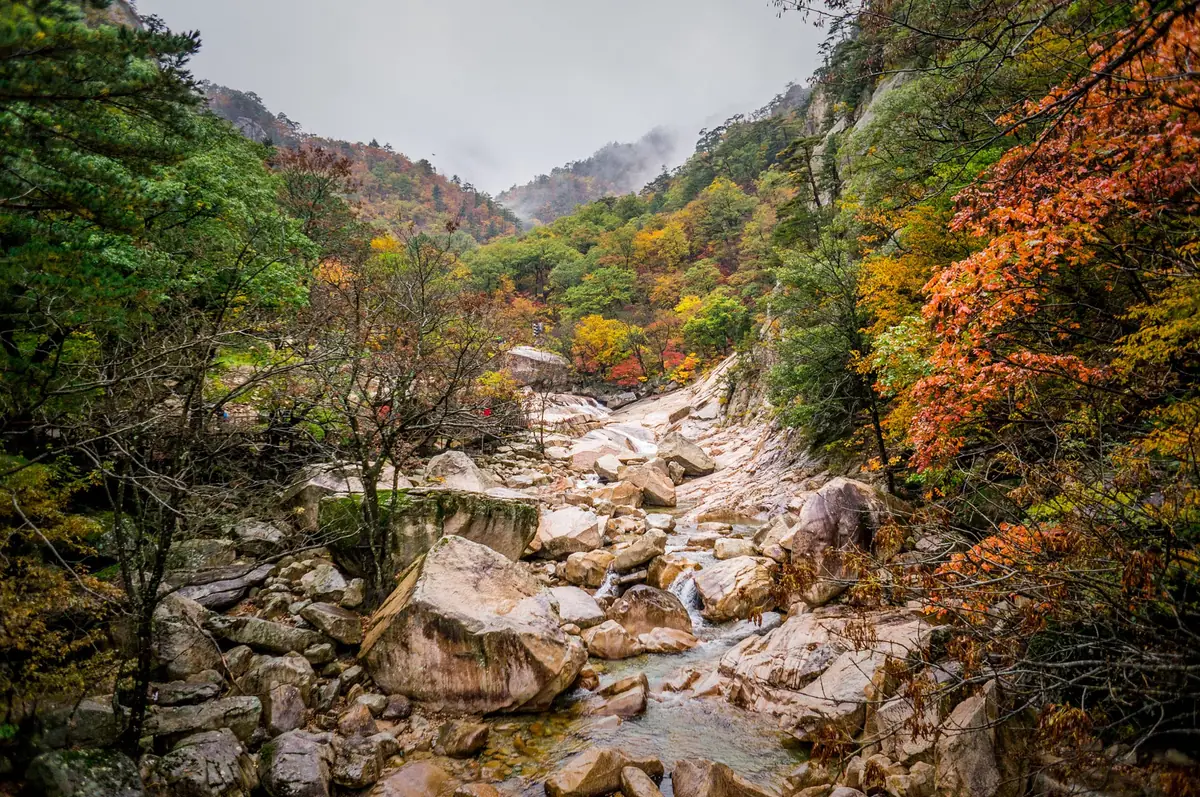 Red and orange autumn leaves along a rocky stream valley in Seoraksan National Park, South Korea